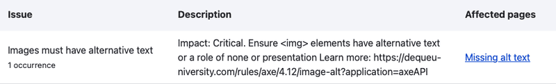 Accessibility scan identifying an image that has no alternative text