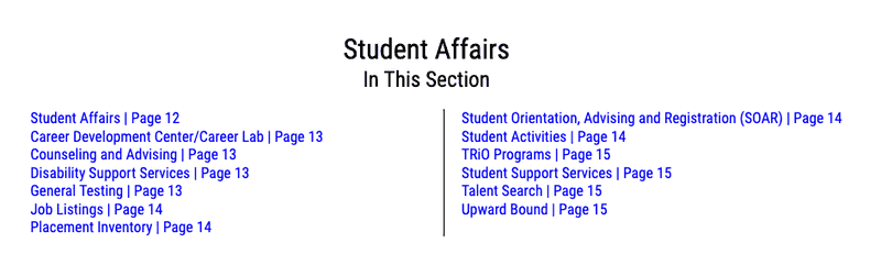 An automatically generated internal table of contents with links to the Student Affairs content.